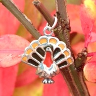 Turkey Charm with Enamel