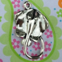 StingRay or MantaRay Charm