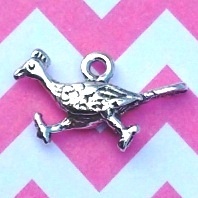 Road Runner Charm