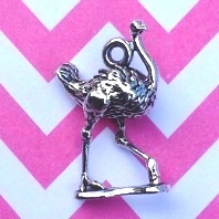 Ostrich Charm