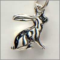 Rabbit Charm Sitting