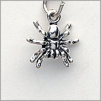 Spider Charm