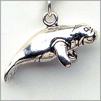 Manatee Charm