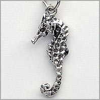 Seahorse Charm